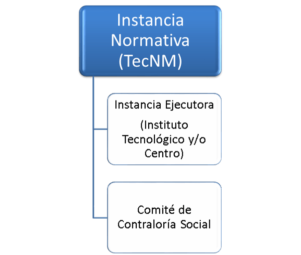  ESTRUCTURA OPERATIVA DEL PROGRAMA
